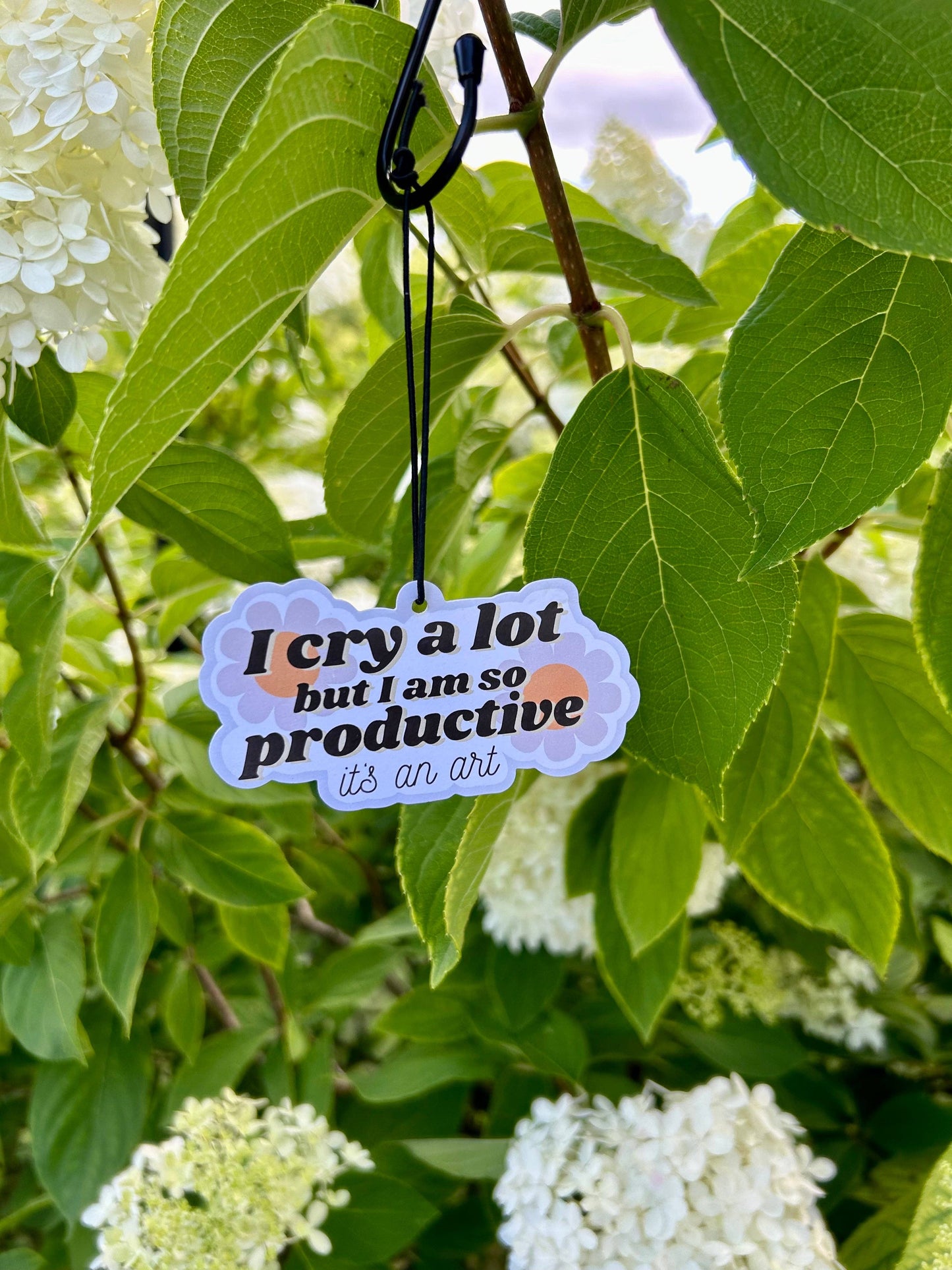 Taylor Swift Inspired Air Fresheners