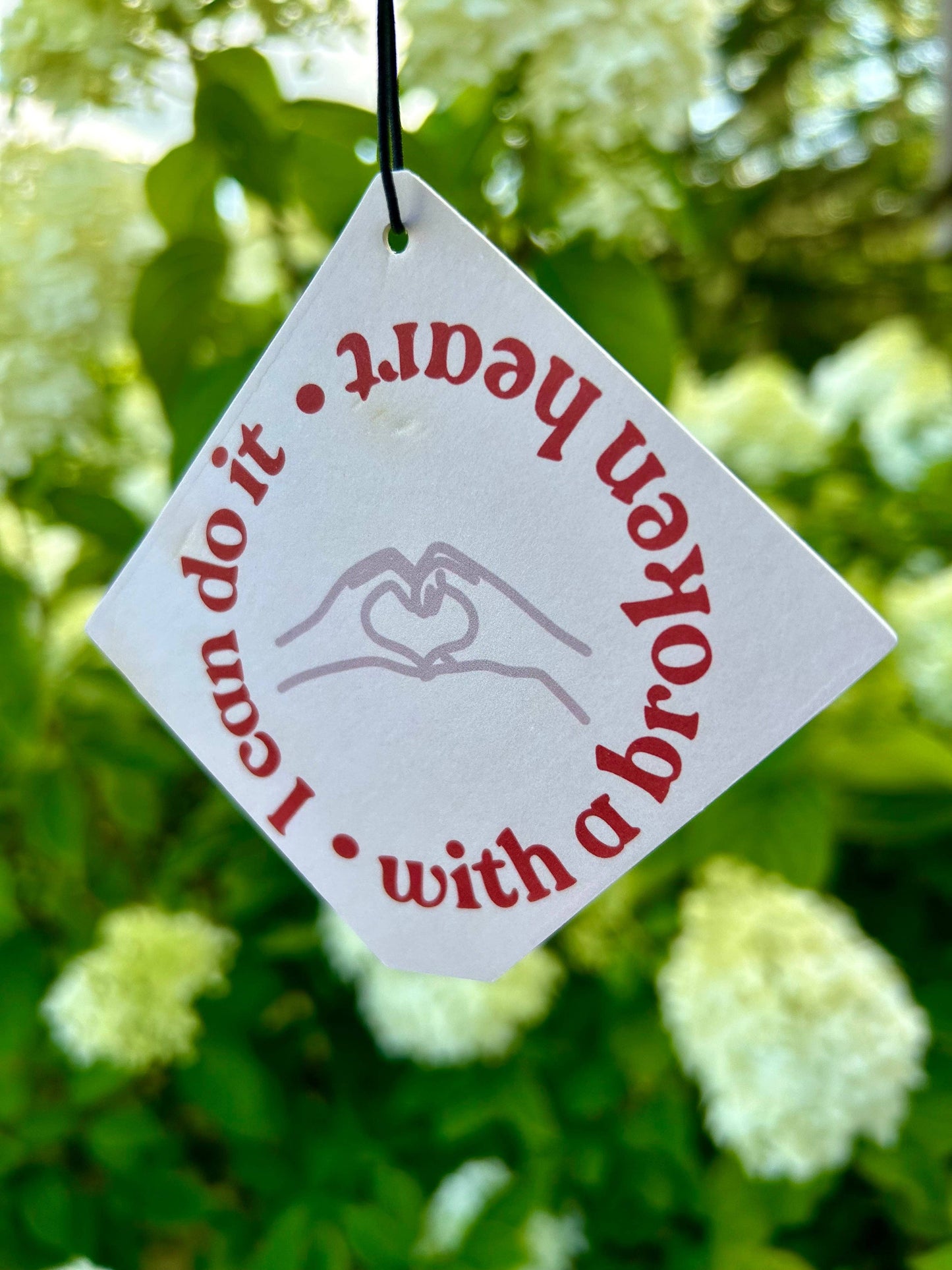 Taylor Swift Inspired Air Fresheners