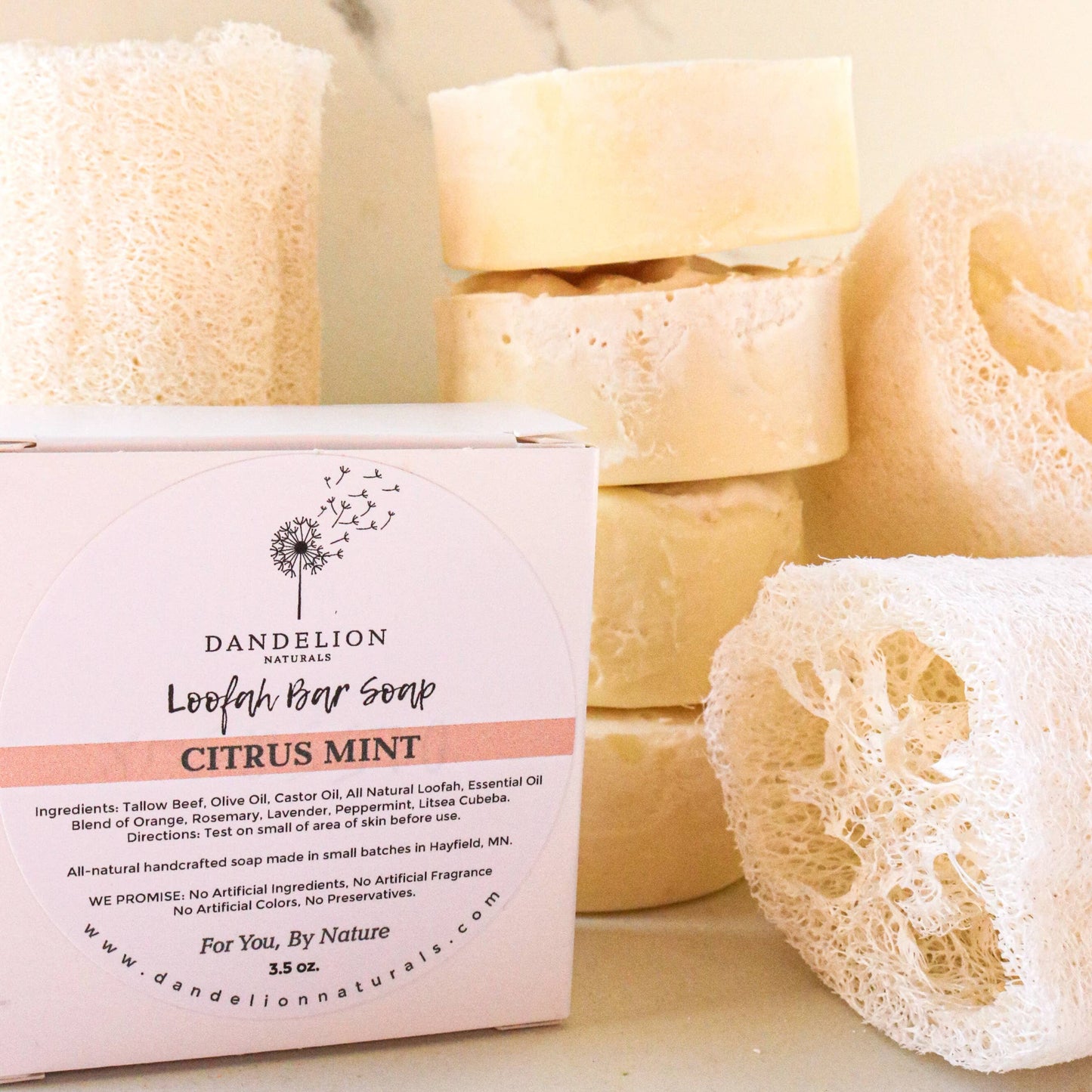 Tallow Loofah Bar Soap | Citrus + Mint | Exfoliating Soap