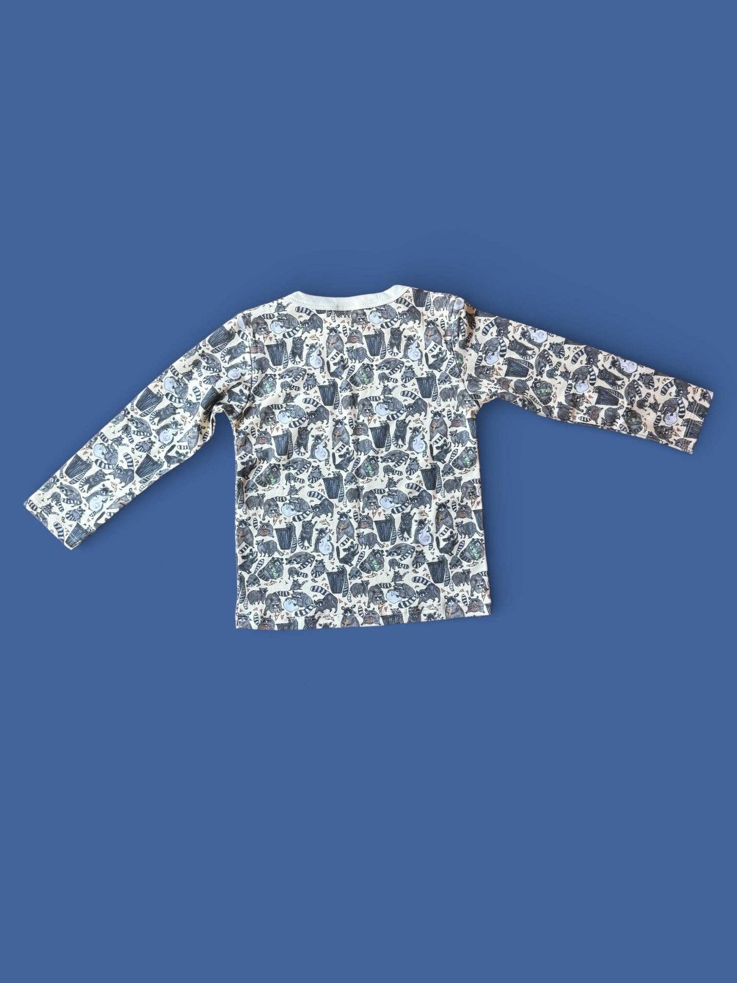 Raccoons Daily Shirt