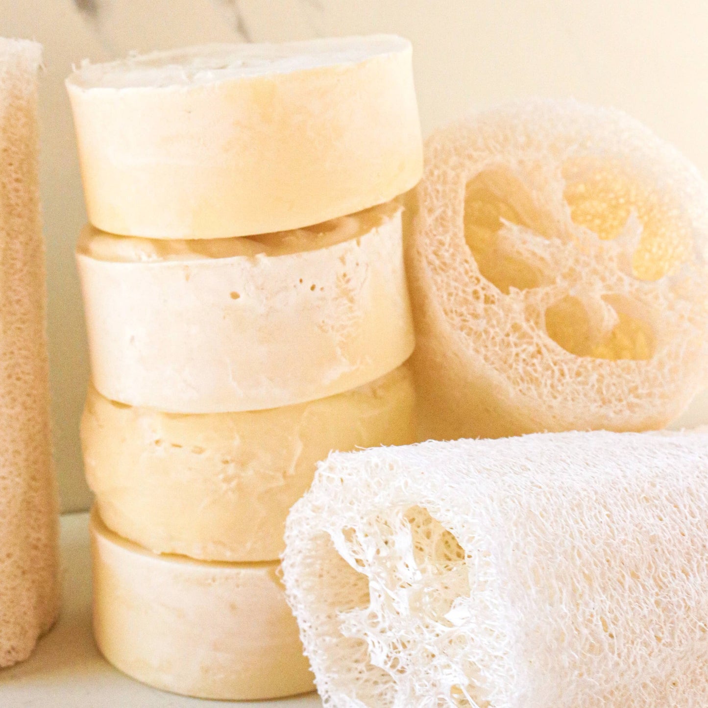 Tallow Loofah Bar Soap | Citrus + Mint | Exfoliating Soap