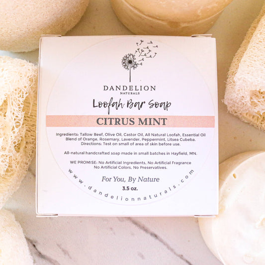 Tallow Loofah Bar Soap | Citrus + Mint | Exfoliating Soap